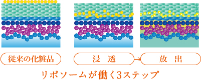 全身保湿用ジェル | 株式会社ユニティー