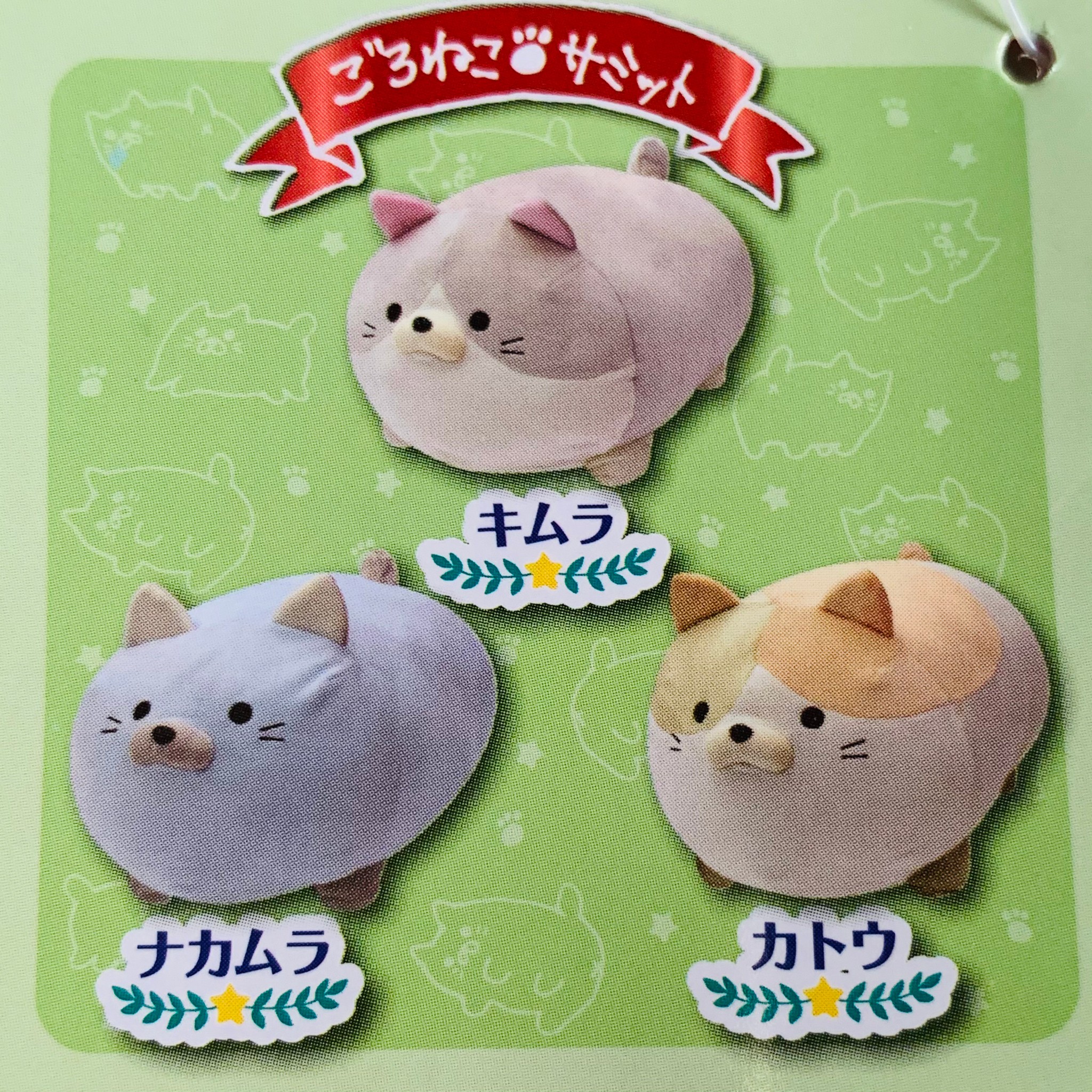 楽天市場】B-30 ごろねこサミット 第18回 おうち代表ねこ会議 [キムラ