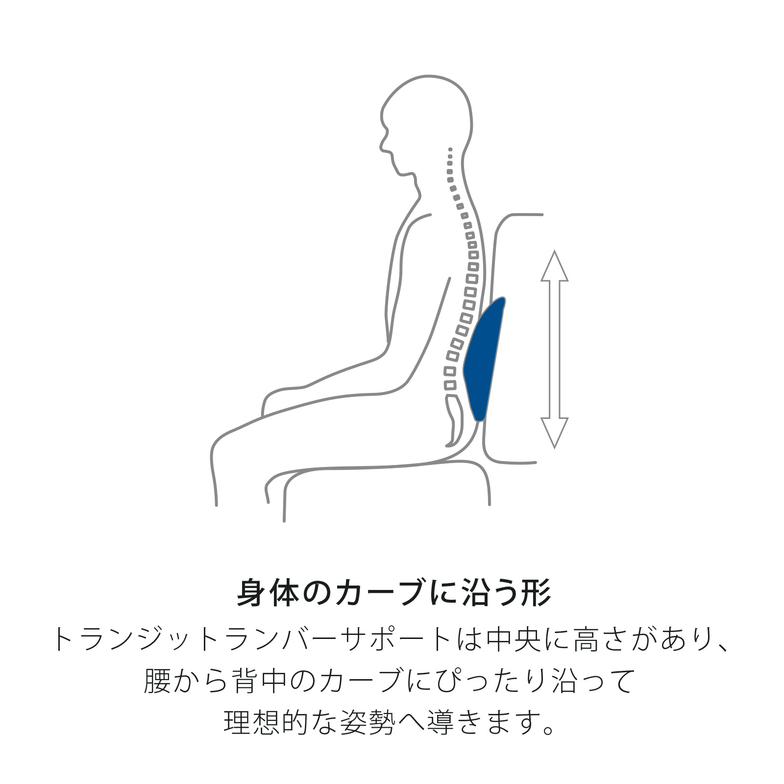 楽天市場】【公式】テンピュール Tempur クッション 腰当てクッション