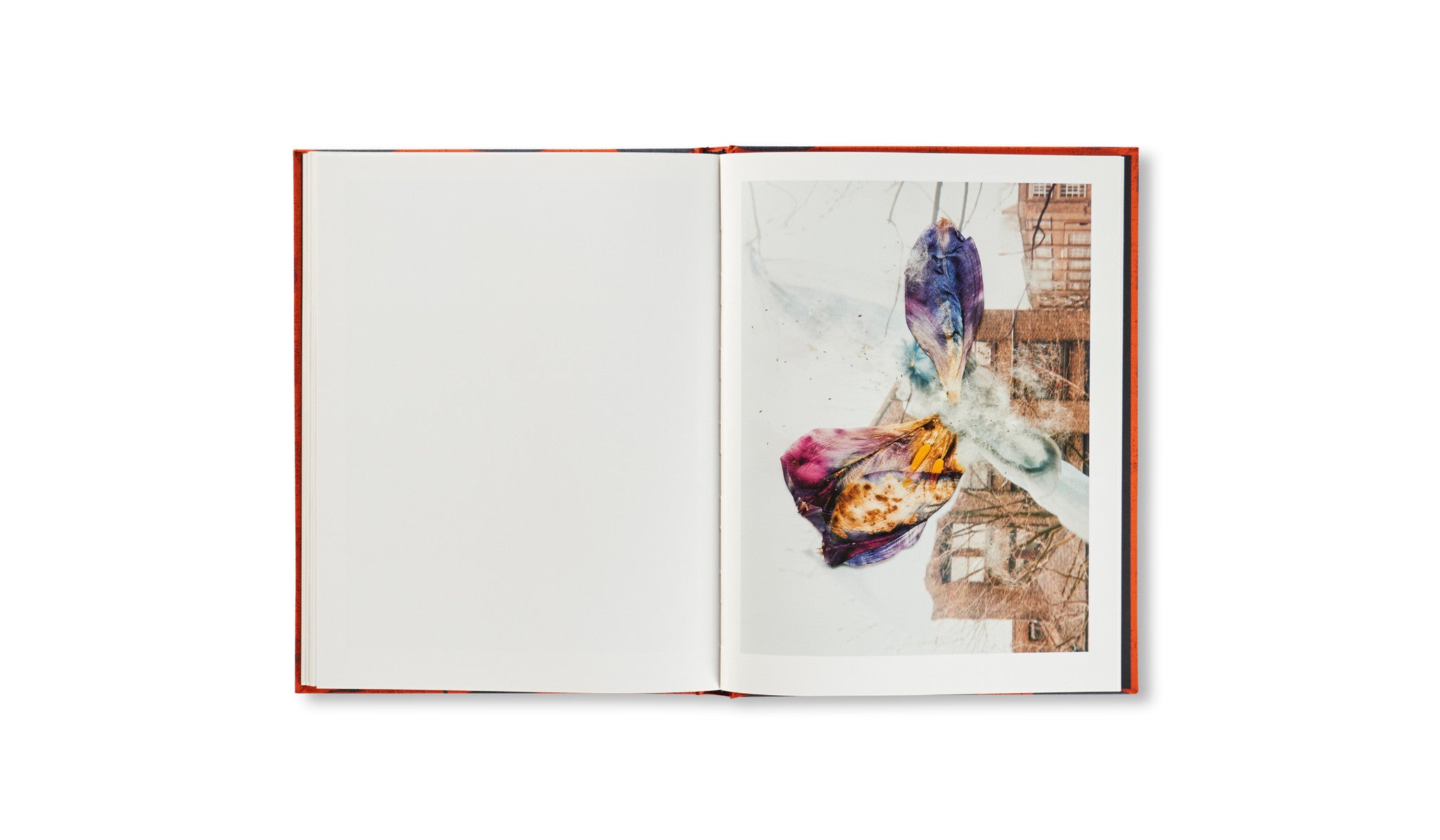 HACKNEY FLOWERS by Stephen Gill – twelvebooks