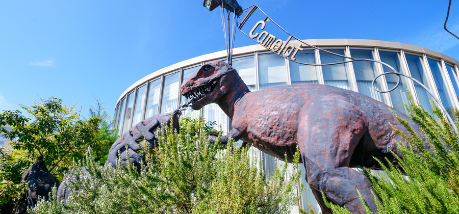 茨城県ひたちなか市 ほしいも専門店大丸屋 店舗案内