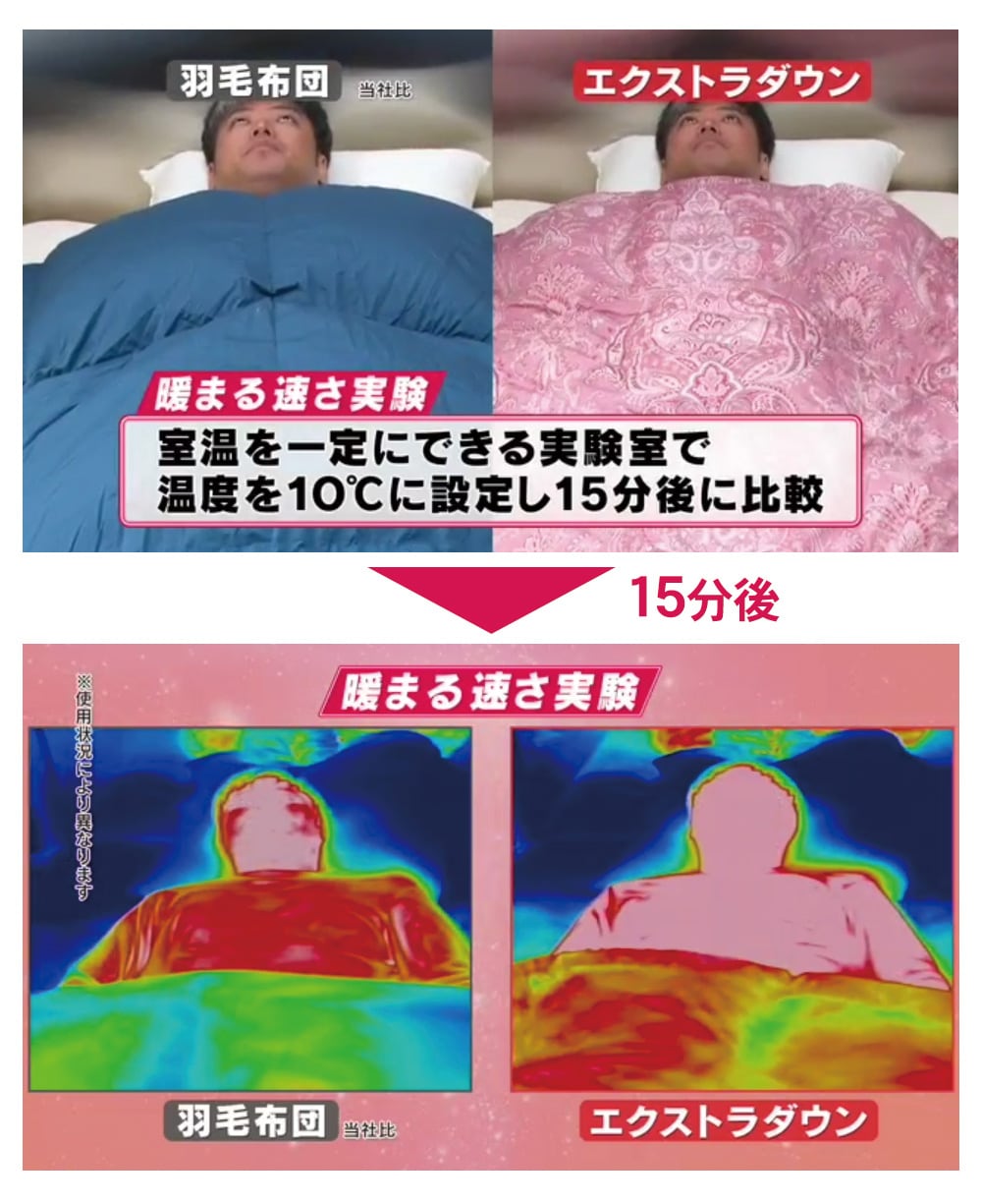 エクストラダウン 掛け布団(掛け布団/シングル/1枚 ブルー): 寝具／は