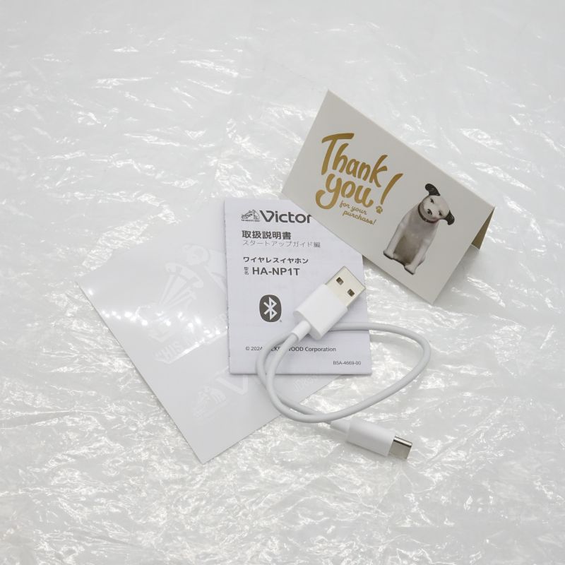 Victor HA-NP1T アイスグレー [HA-NP1T-H] 中古 240001203775｜中古