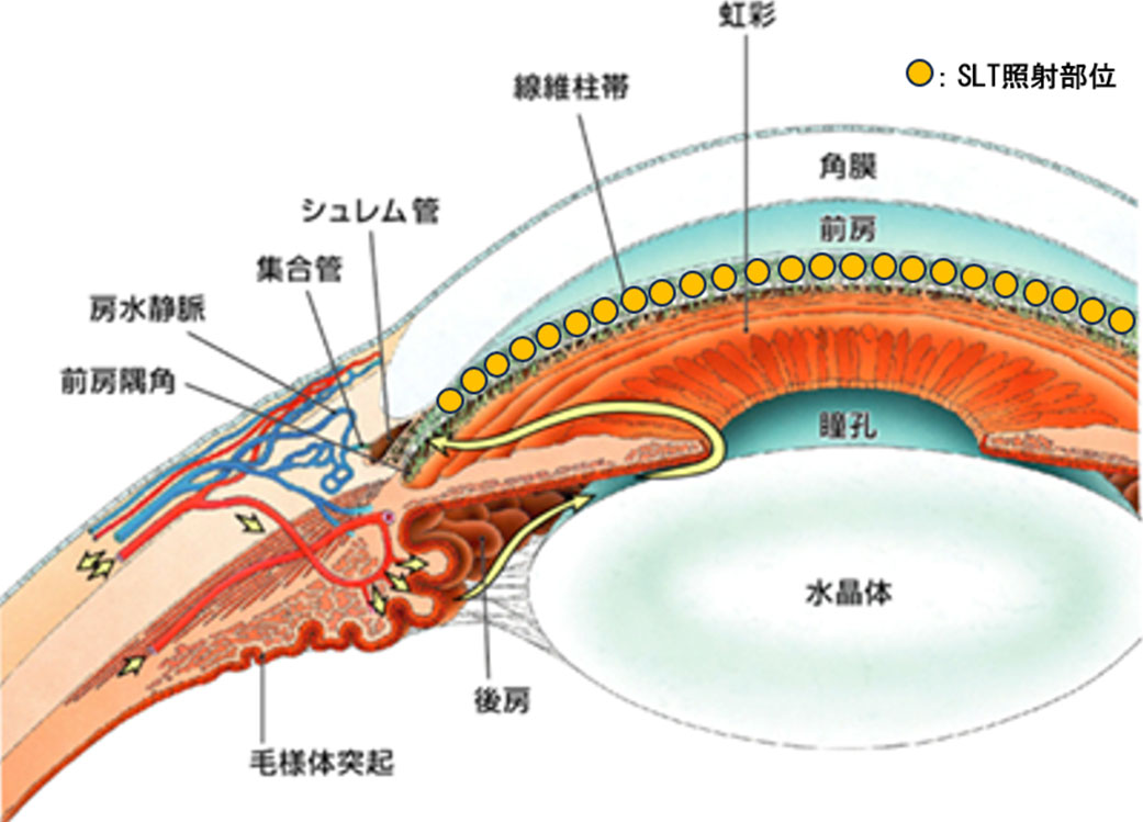 pic_12.jpg?1761264397