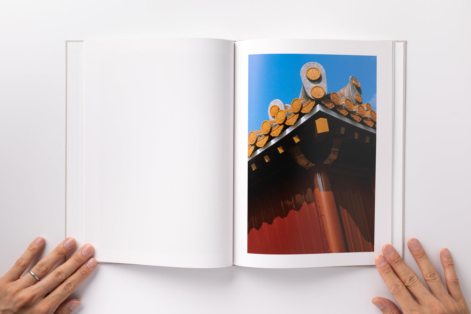 2X6A2804_4100x.jpg?v=1691817247