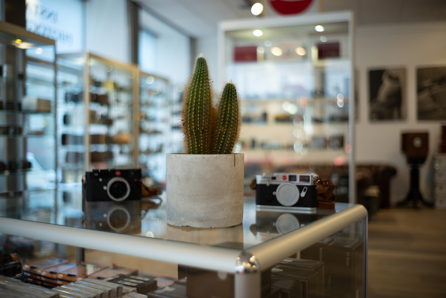 Leitz Leica Summicron 1:2/35mm V4 - The ”King of Bokeh“ - Germany