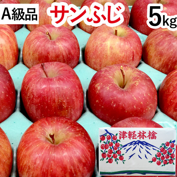 送料込】【A級品】サンふじ青森りんごノーワックス5kg【竹嶋有機農園