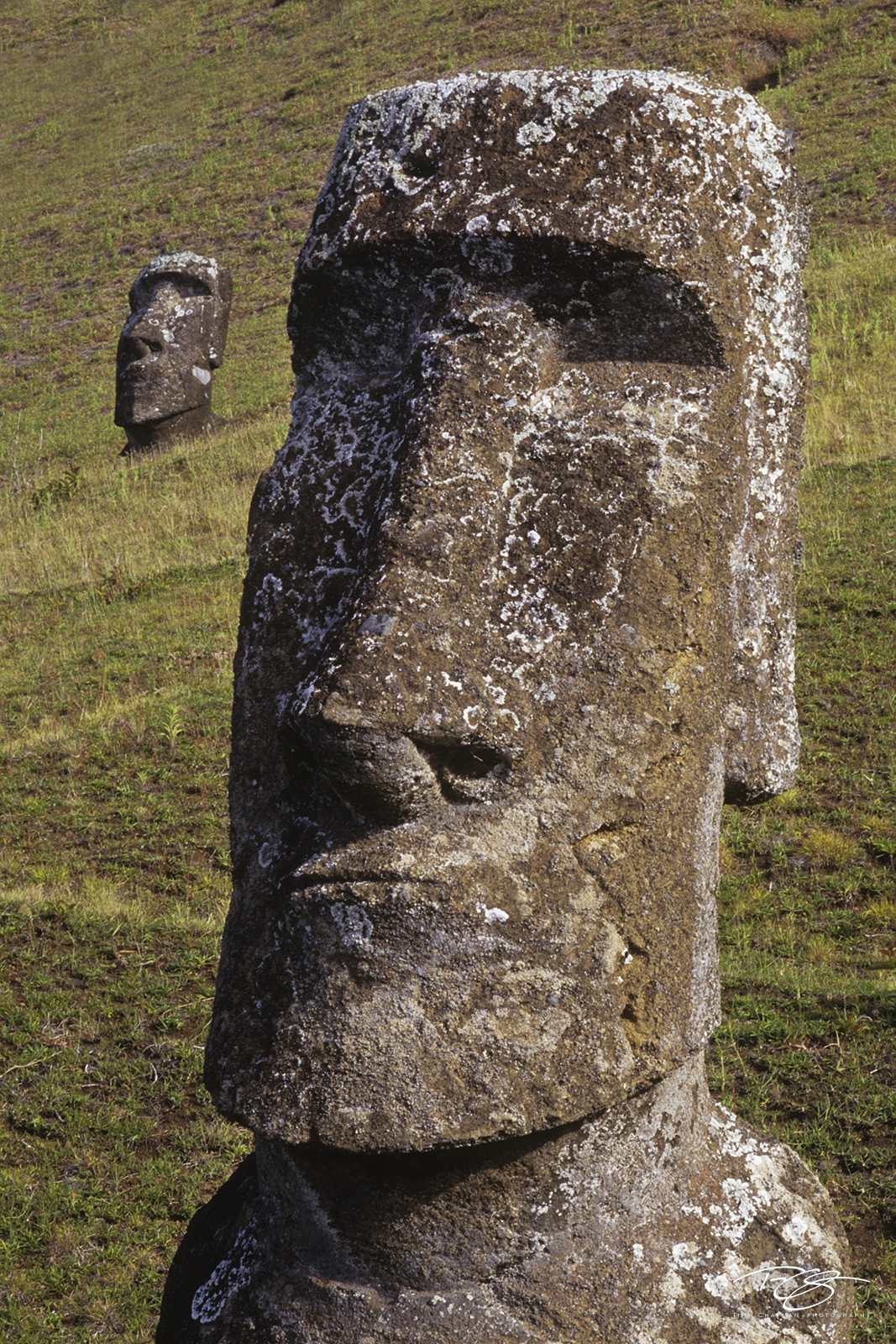 Portrait of a Moai | Easter Island, Chile | Timm Chapman Photography