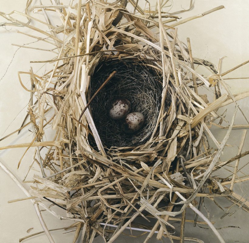 野田弘志-真理のリアリズム｜山口県立美術館