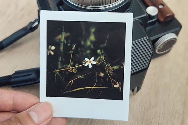 Tomo ArkがEFマウントのインスタントカメラ「NONS SL660」を発表