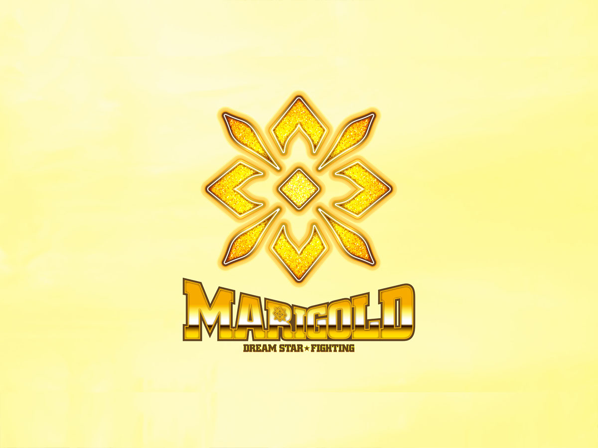 MARIGOLD | 女子プロレス | マリーゴールド オフィシャルウェブサイト
