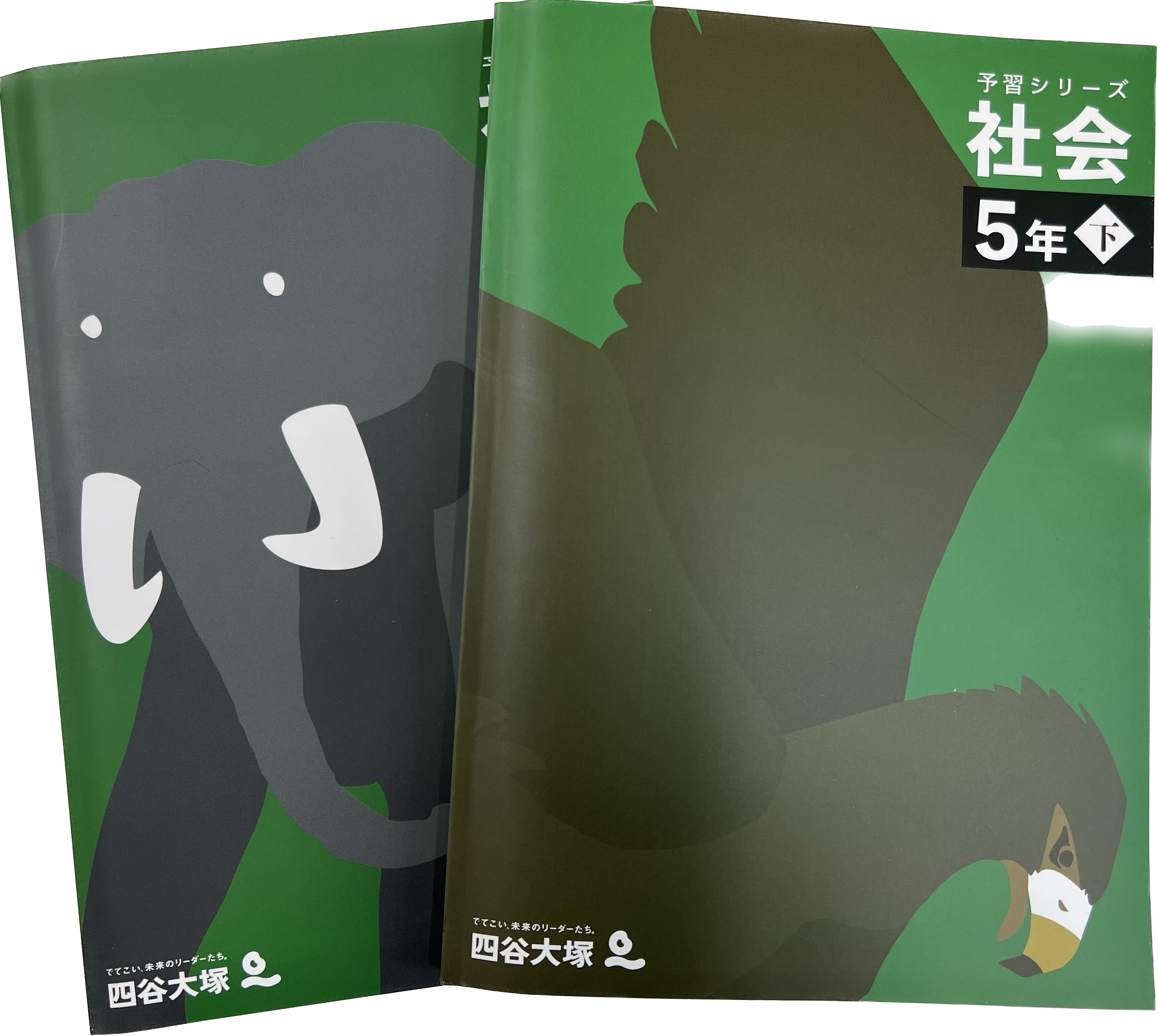 公式】中学受験の家庭教師_社会|家庭教師の札幌エデュオ