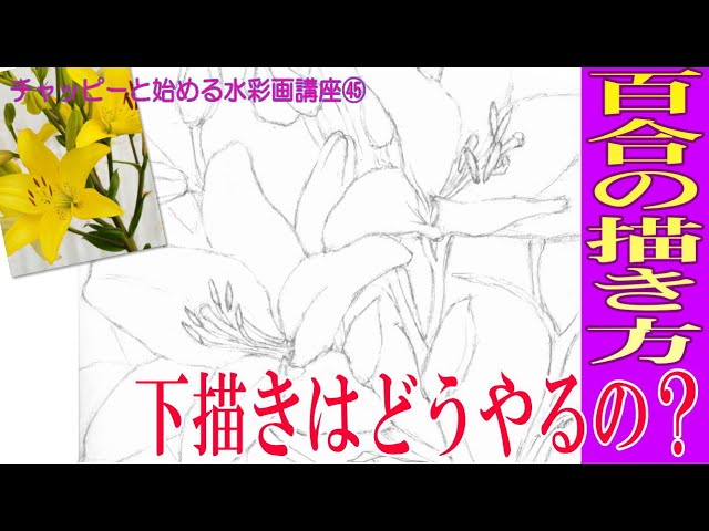 Watercolor painting lesson for beginners ㊻ Drawing lilies (Part 2