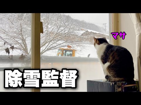 This season's strongest cold wave! DIY at home on those days