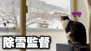 This season's strongest cold wave! DIY at home on those days