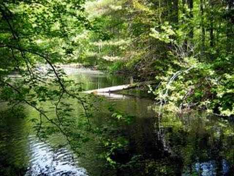 Beautiful Sunday- Daniel Boone- 1972 - YouTube