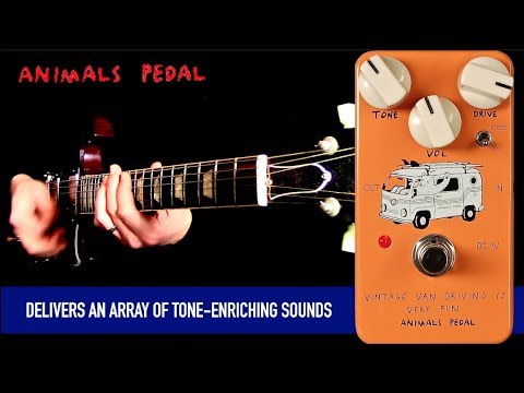 Animals Pedal Vintage Van Driving is Very Fun Overdrive - YouTube