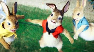 ピーターの3姉妹たちのカワイイ♥日常シーン／映画『ピーターラビット