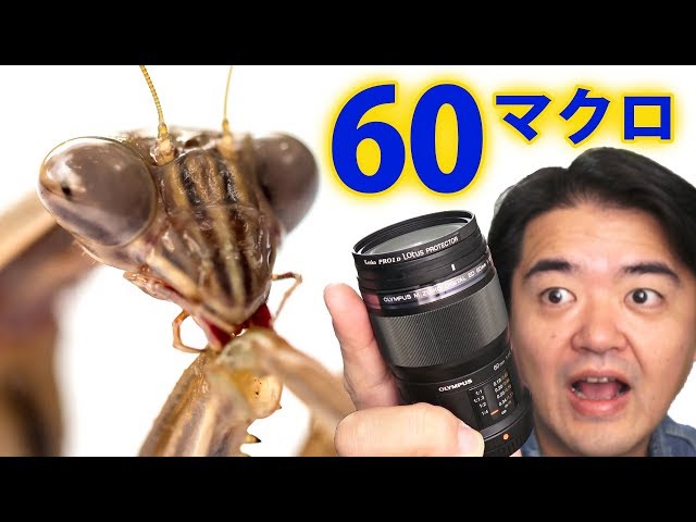 あのイケメン取材レンズはこれだ！ OLYMPUS M.ZUIKO DIGITAL ED 60mm