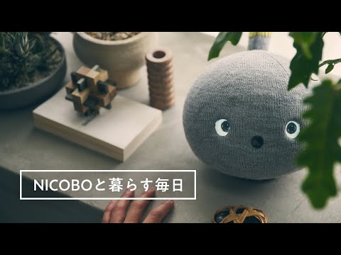 レンタル] パナソニック NICOBO(ニコボ) ロボット シェルピンク