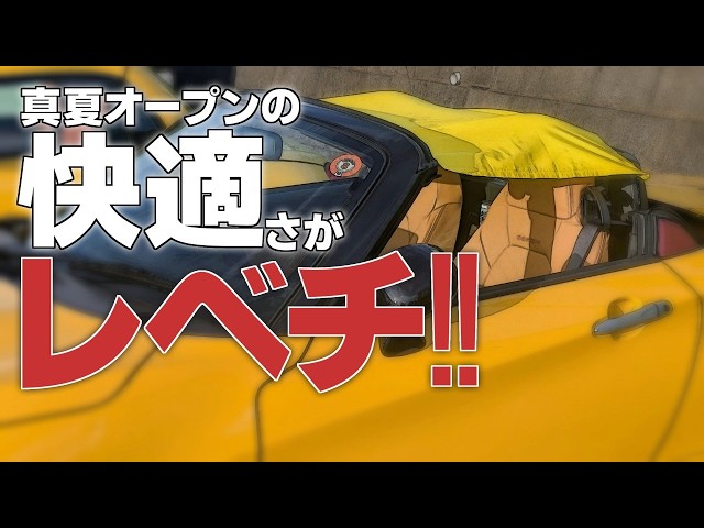 A review of the Copen's exclusive bikini top, 