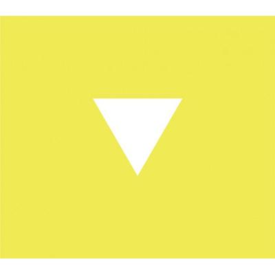 Perfume 3rd Tour 「JPN」 【初回限定盤】 : Perfume | HMV&BOOKS