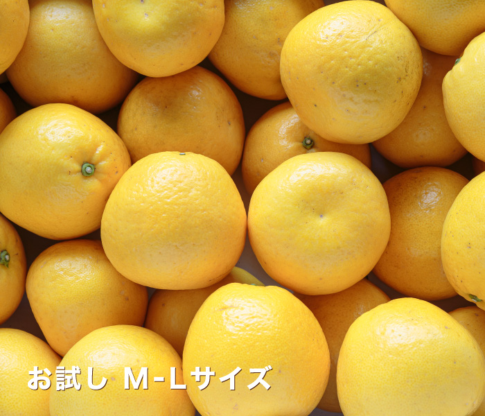 爽やかな味わいの愛媛西宇和産のナダオレンジを少量から楽しめるお試し用