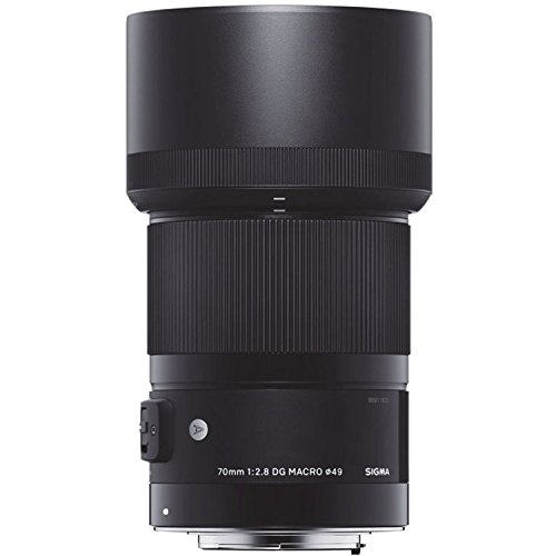 Amazon.com : Sigma 70mm F2.8 Art DG Macro for L Mount : Electronics