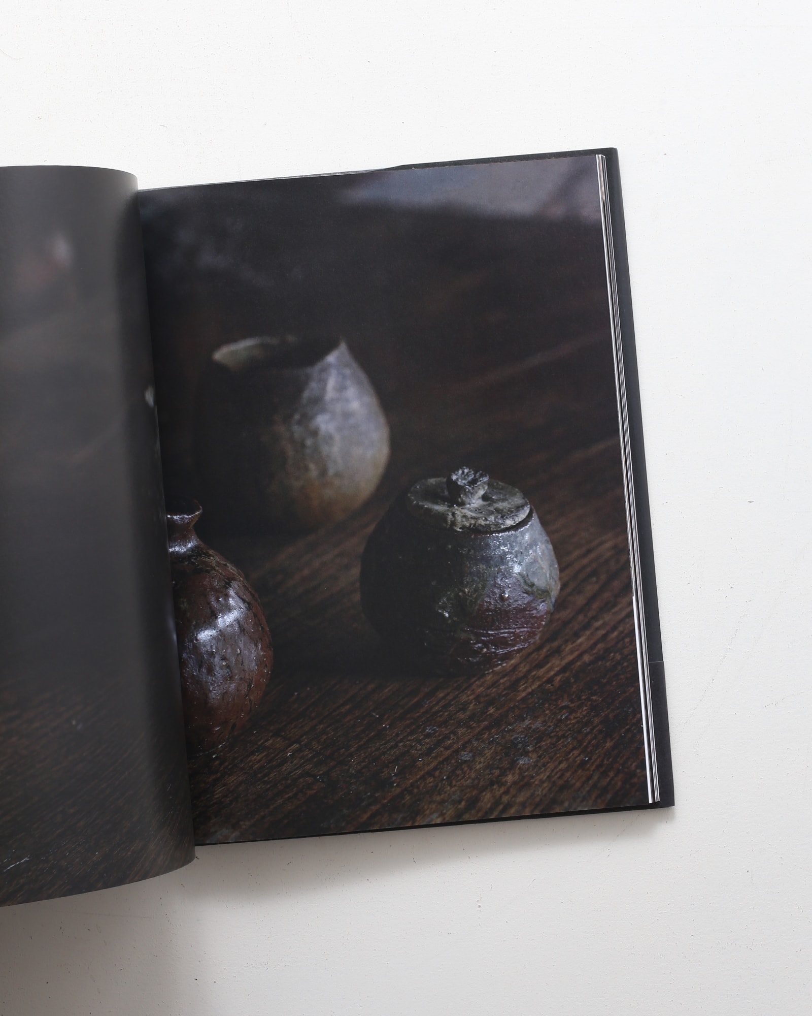 辻村史朗 Shiro Tsujimura | nostos books ノストスブックス