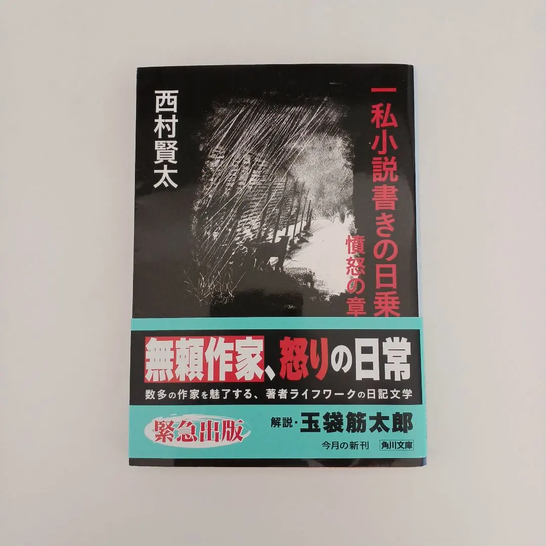 2026年最新】西村賢太 日乗の人気アイテム - メルカリ