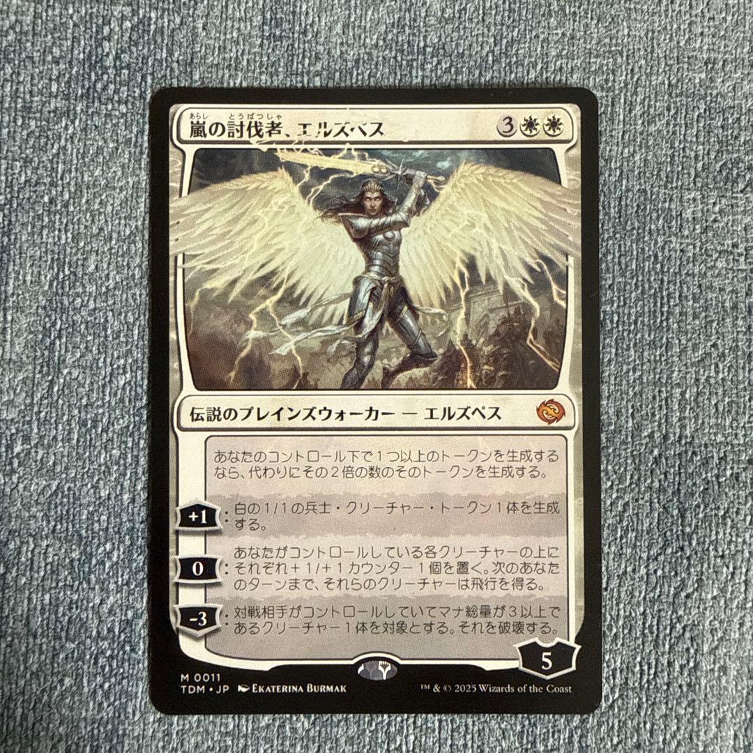 嵐の討伐者、エルズペス 日本語版 - メルカリ