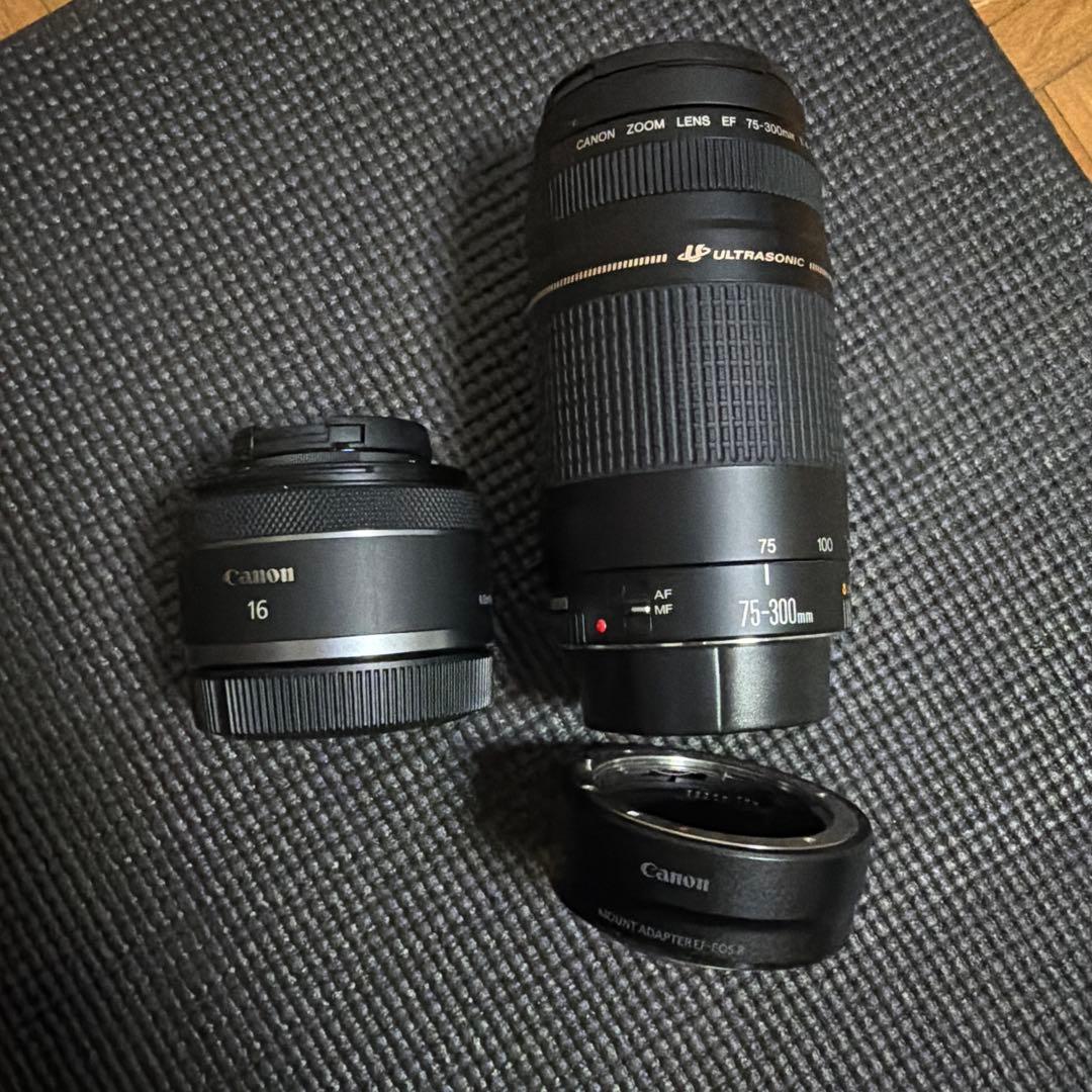 Canon EF 75-300mm レンズ Amazon.com : Canon EF 75-300mm f/4-5.6 III Telephoto Zoom Lens for