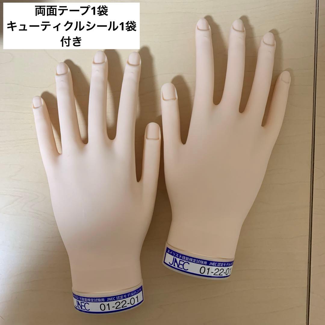 【美品】JNEC認定モデルハンド　両面テープ、キューティクルシール付き 滝川（TAKIGAWA） 【単品セット販売D】 JNEC認定 STモデルハンド 右手