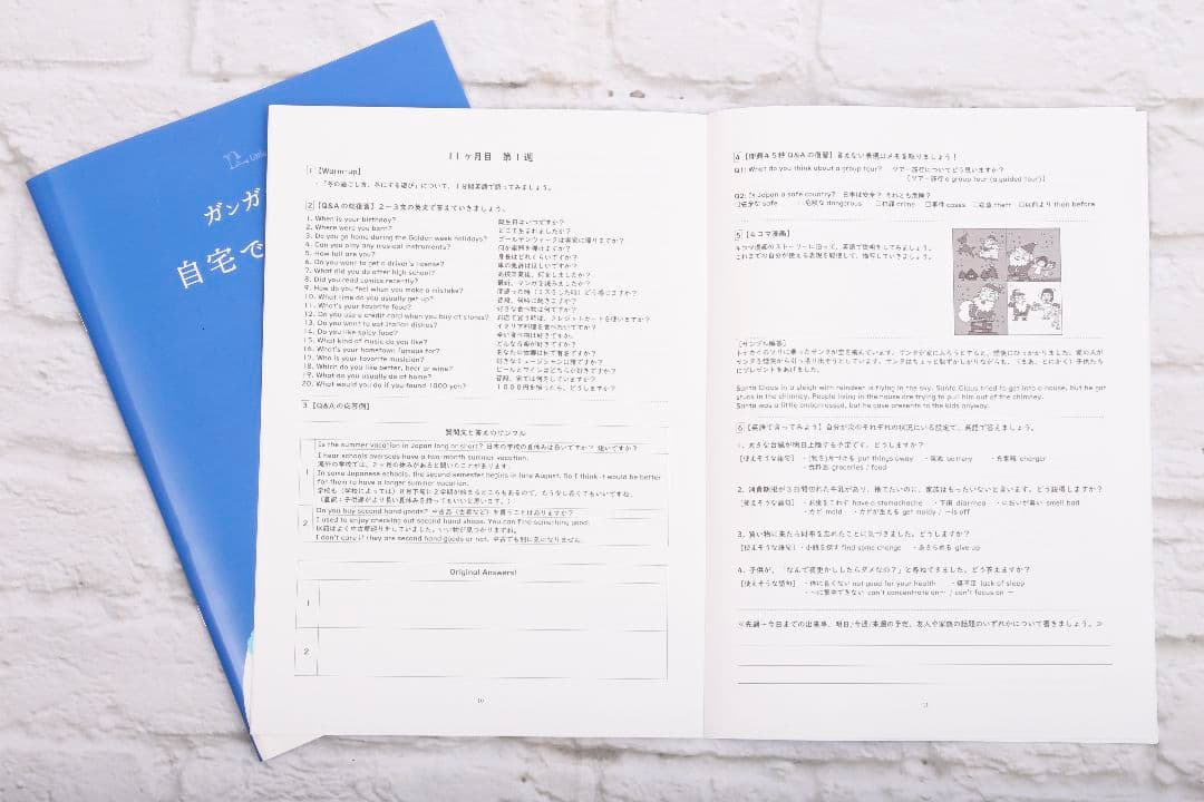 留学レベルの英会話力養成DVD 週1レッスン×1年間分 メールサポート付き