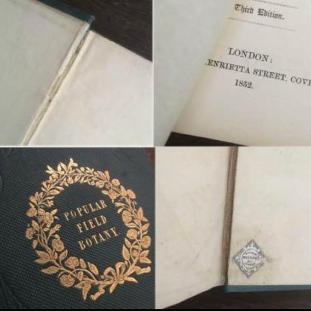 L833洋書古書 【1852年発行】大変希少なイギリスのアンティーク植物
