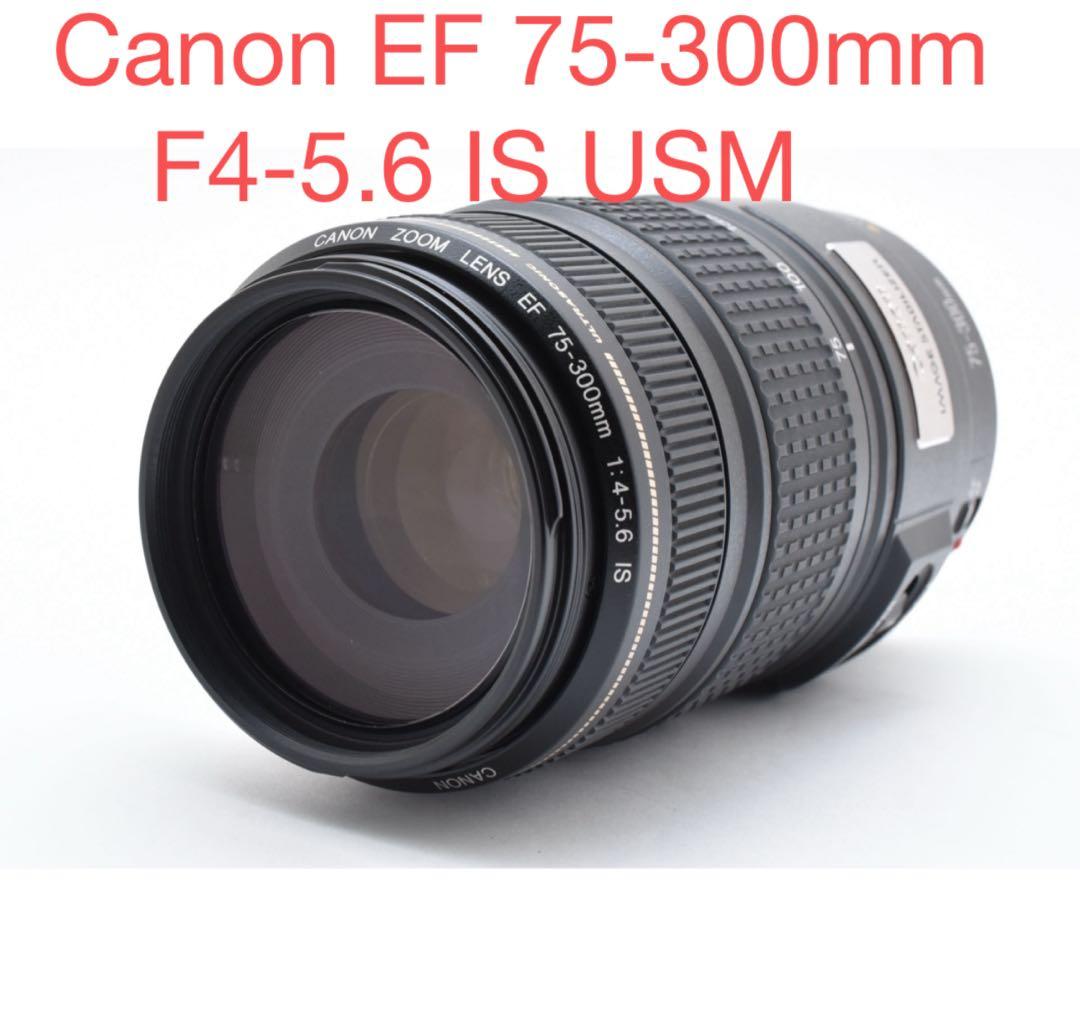 手ブレ補正レンズ Canon EF 75-300mm F4-5.6 IS USM Amazon | Canon EF 75-300mm F4-5.6(3)USM | カメラ用交換レンズ 通販