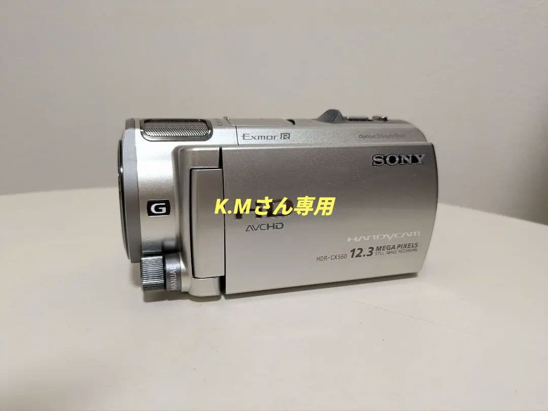 ソニー ビデオカメラ HDR-CX560V ハンディカム シャンパンシルバー