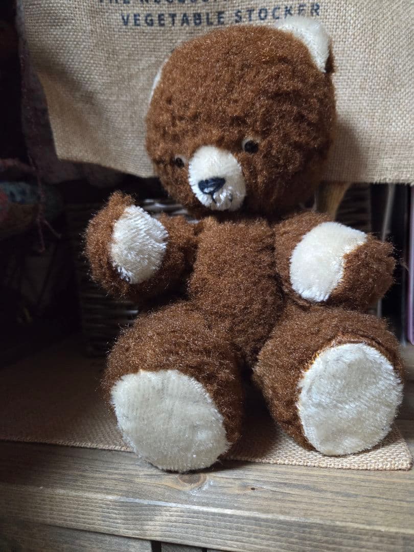 DDRベア　ポンチ目　アンティークテディベア ドイツで出会ったDDRベア ポンチ目の子やふわふわのベルリンベアもいる