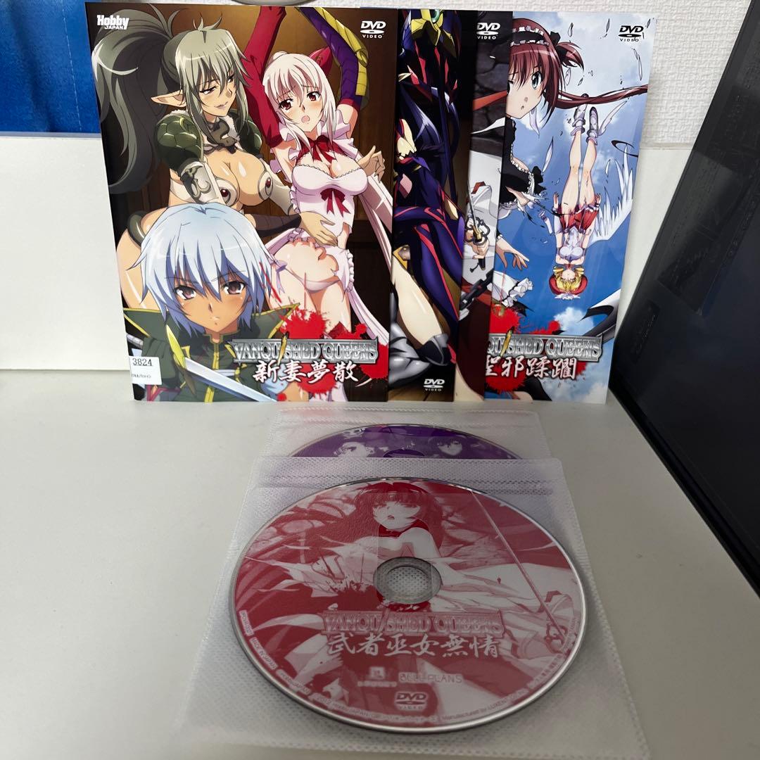 【希少】レンタル落ち　DVD 全巻セット 「ヴァンキッシュド・クイーンズ」 全巻