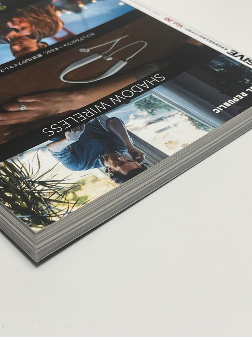 MASSIVE : 生きざまを伝えるロックマガジン Vol.20 (THE M…