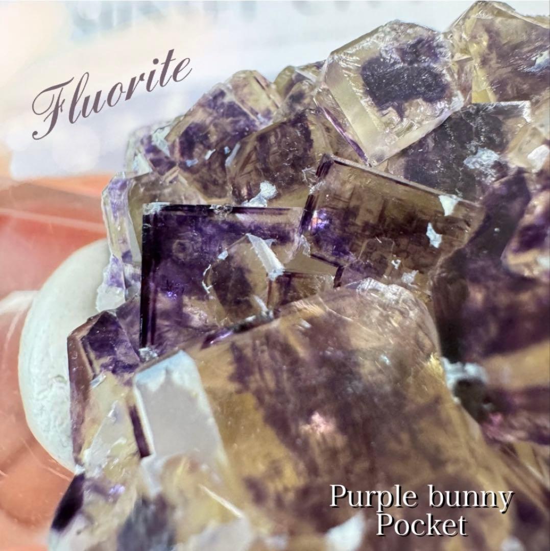 【D179】ナミビア オコルス フローライト 鉱物 標本 原石 オコルス鉱山産 フローライト | 鉱物標本,ハ行,フローライト/蛍石