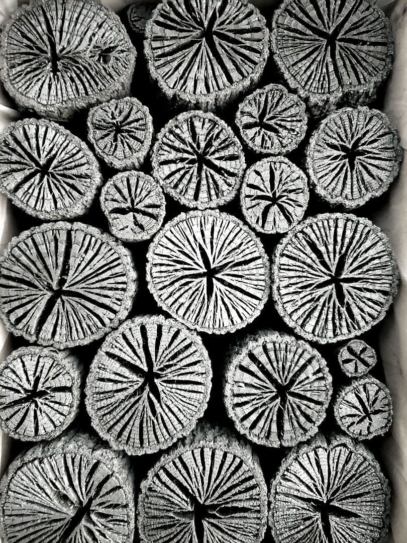 たーちん④【 伊予の切炭 】太め菊炭特選×2箱 伊予の切炭 】約6kg クヌギ菊炭×2箱