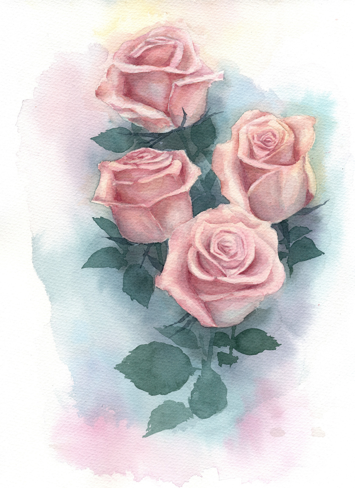 庭園に咲く薔薇」を描いた水彩画 ｜ 毎日水彩画